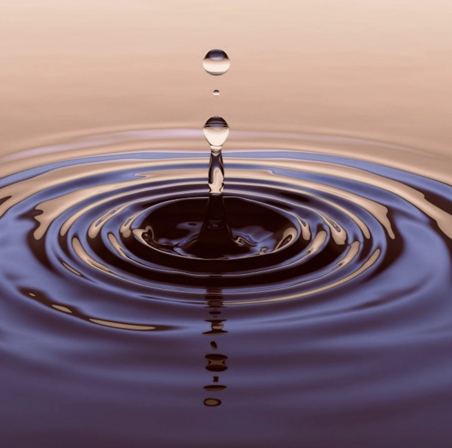 capture-decran-2026-03-03-a-171250